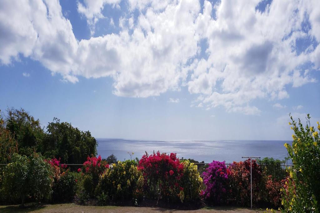 Apartamento Spectacular Ocean View Retreat Saint James Exterior foto