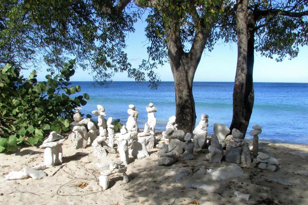 Apartamento Spectacular Ocean View Retreat Saint James Exterior foto